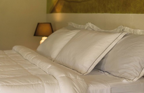 Arenal Hot Springs Hotel | Sueno Dorado Hot Springs Hotel