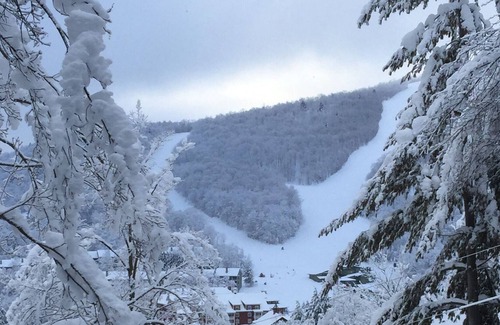 Warren Ski Chalet | Sugarbush, Ski in / Ski out, Rustic Classic Chalet, Spectacular Views, Enjoy !!!