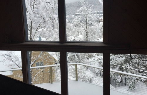 Warren Ski Chalet | Sugarbush, Ski in / Ski out, Rustic Classic Chalet, Spectacular Views, Enjoy !!!