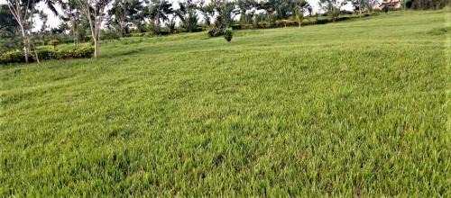 Rwamagana Apartment | SUGIRA ECO-RESORT