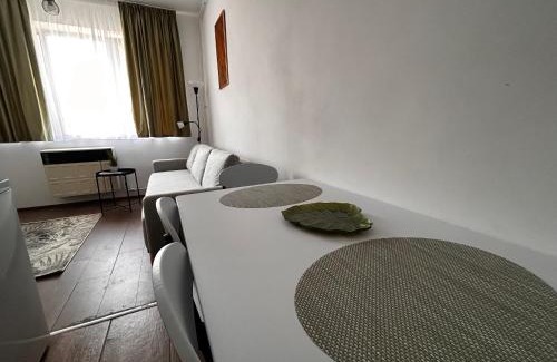 Tirgu Mures Apartment | Suita UMF 36