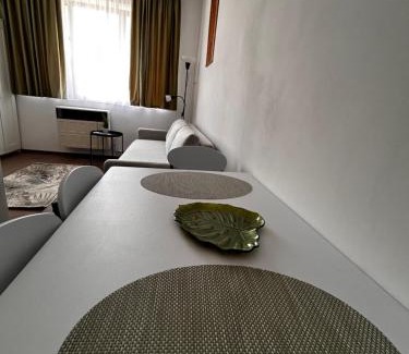 Tirgu Mures Apartment | Suita UMF 36