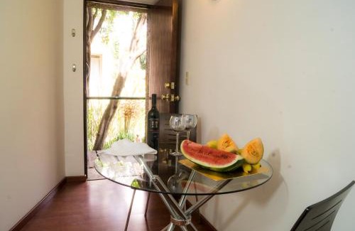 Campestre Apartment | Suite 1C, Balcon, Garden House, Welcome to San Angel