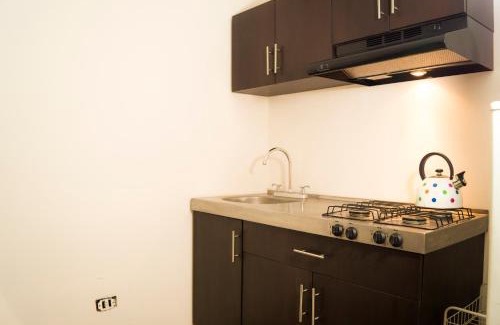 Campestre Apartment | Suite 1C, Balcon, Garden House, Welcome to San Angel