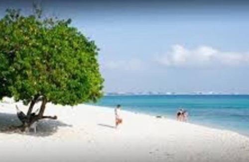 West Bay Apartment | SUITE 2A, BLUE PAVILION - Steps to SEVEN MILE BEACH -Value, Service, Comfort