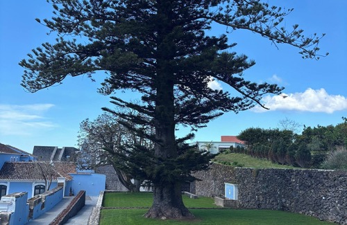 Angra do Heroismo Apartment | Suite Deluxe Family Apartment at Azores Book Hotel*