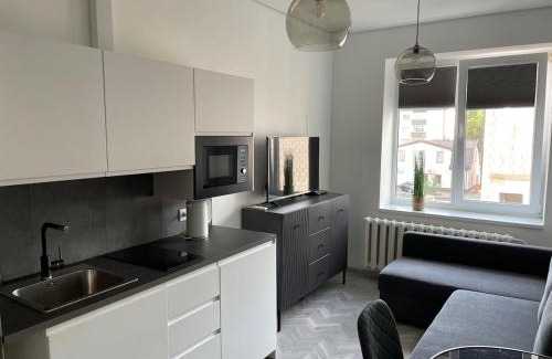 Panevezys Apartment | Suite in the heart of the city