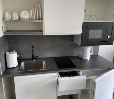 Panevezys Apartment | Suite in the heart of the city