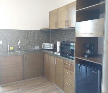 zona dos extendida Apartment | Suite Loft Amplio Nuevo Salida a CDMX 204A