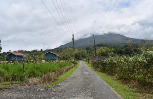 Arenal Hot Springs Apartment | Suite Palm