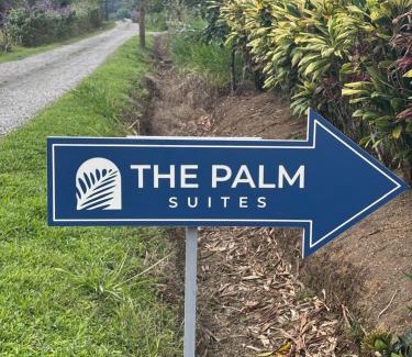 Arenal Hot Springs Apartment | Suite Palm