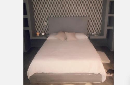 Coyoacan Apartment | Suite Privada en San Ángel