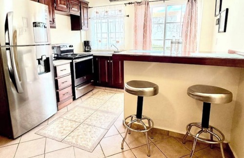 Tegucigalpa Apartment | Suites Brassavola - Apartment 104