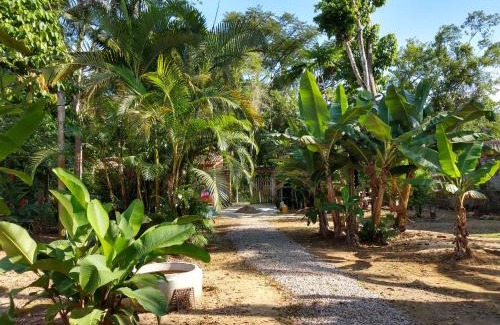 Itamambuca Apartment | Suites Coqueiros Itamambuca