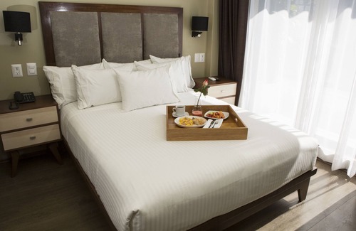 Colonia Cuauhtemoc Hotel | Suites Lerma