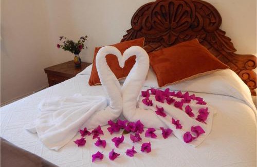 Zona Centro Apartment | Suites Santo Domingo