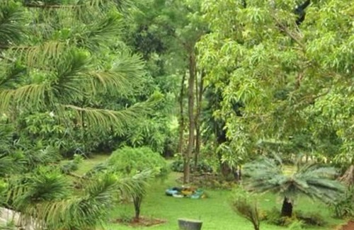 Dambulla House | Sujatha Tourist Rest