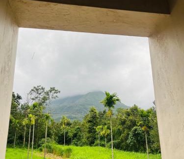 Chikkamagaluru House | Summer Green Homestay