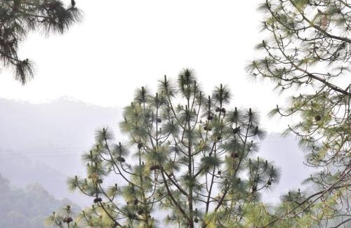Kasauli Apartment | Summer Imperial Crest Hotels