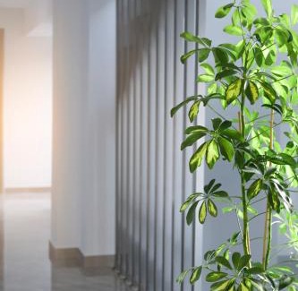 Polichrono Apartment | Summer Inn