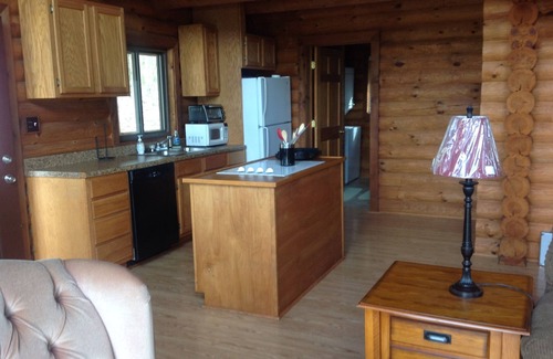 Amity Cabin | Summer is here! Come stay with us ππ£ββοΈπ£ββοΈπ