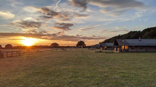 Ringstead Other | Summerfield