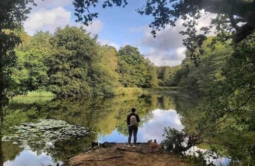 Berry Hill House | Summerhouse @ 73 (Forest of Dean) Gloucestershire