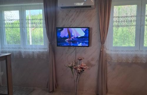 Gornji Milanovac House | Sumska vila Zorica