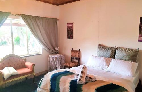 Benoni House | Sun and Stars