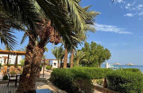 Safaga Hotel | Sun Beach Hotel Safaga