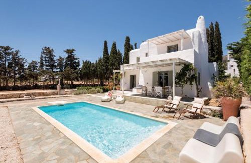 Drios Villa | Sun Drop I with private pool Drios beach Paros