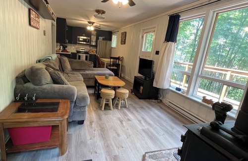 Dysart et al Cottage | Sun, Sand & Serenity – Perfect Cottage for Families by the Lake!