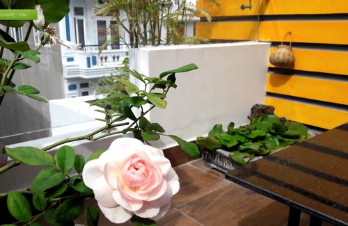 Vung Tau Villa | Suna's Home - Villa in Vung Tau