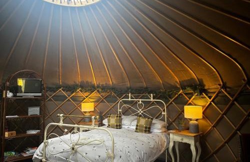 Acrefair Other | Sunbank Yurt