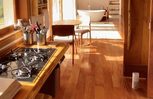 Goncalves Cabin | sunflower hut