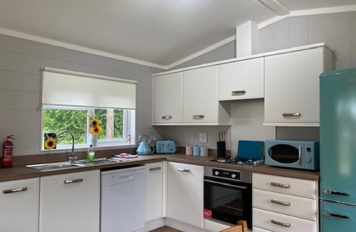 Ryther Apartment | Sunflower Lodge - Lodge with Hot Tub