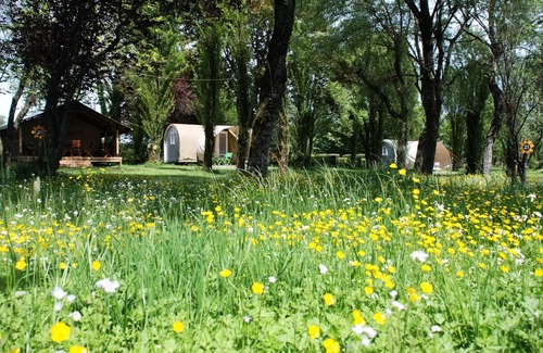 Le Grez House | Sunflowers Campsite * - Canvas Bungalow READY TO CAMP 3 Rooms 4 People Without Sanitary