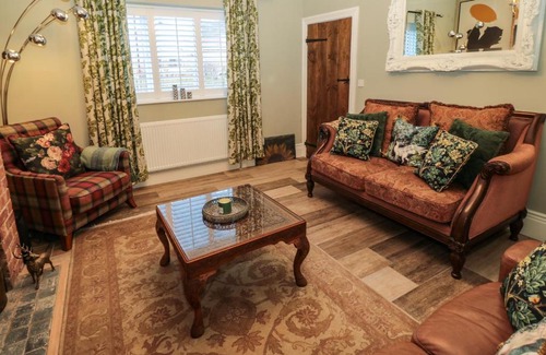 Whitley Bay House | Sunflowers