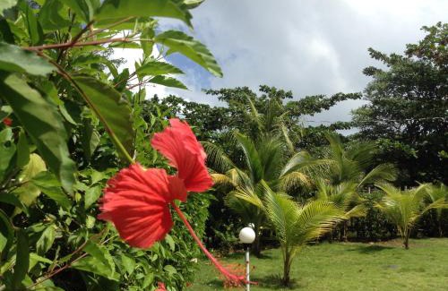 Corn Island House | Sunhill Villa