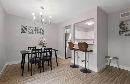 Rochester Apartment | Sunlit Modern Unit Cozy Clean & Peaceful