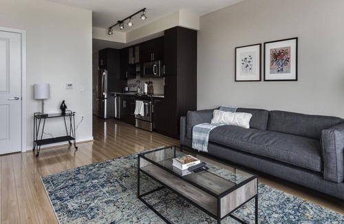Bethesda Apartment | Sunny 1BR Near Woodmont Triangle w/ Amenities