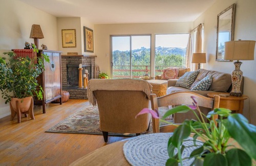 Fairfax Apartment | Sunny and beautiful, 5 Walk to Downtown Fairfax!