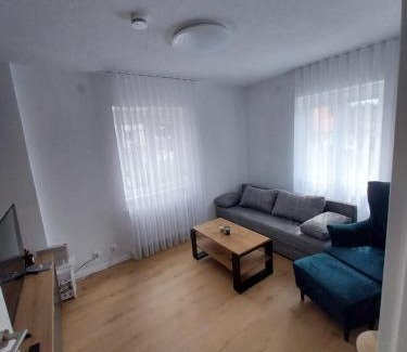 Donaueschingen Apartment | Sunny Donau