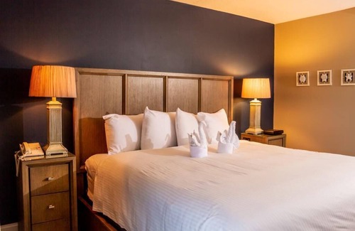 Sanibel Hotel | Sunny Gulf Retreat | Beach Access, Nature Trails & Nature Exploration