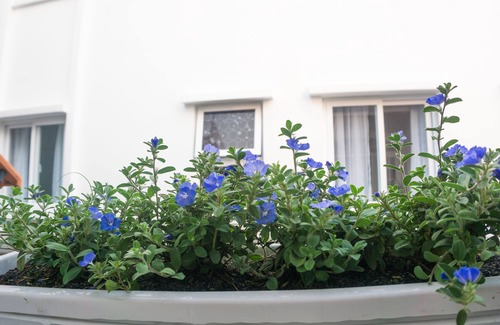 Phuong 8 House | Sunny House