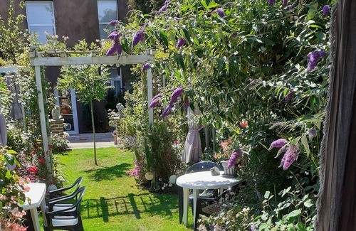 Hastings Cabin | Sunny log cabin set in beautiful peaceful garden . 10mins walk to town and beach