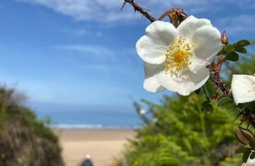 Hele House | Sunny Nook, Pretty 1 bed modern cottage close to Woolacombe