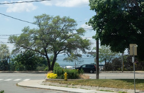 Parkdale House | Sunny One Bedroom With Parking