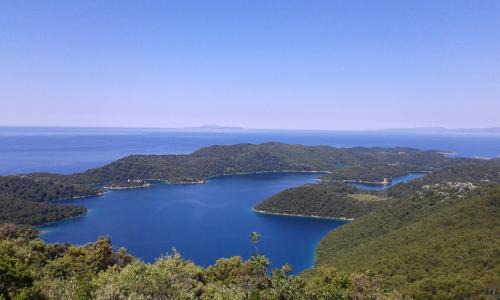 Babino Polje Apartment | Sunny Side of Mljet