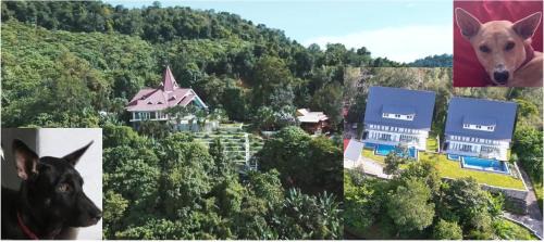 Langkawi Villa | Sunset Hill Villas - Aquamarine Pool Villa